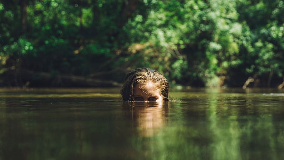 woman in river, nature, water, animal, wildlife, outdoors, animals In The Wild HD wallpaper