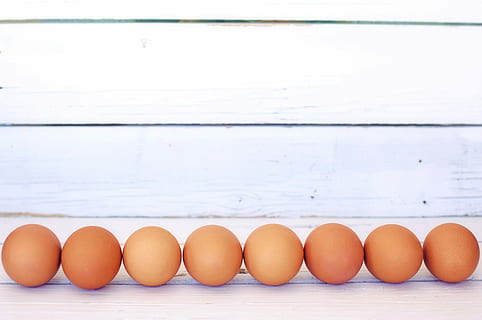 brown eggs forming line, white space, border, frame, background HD wallpaper