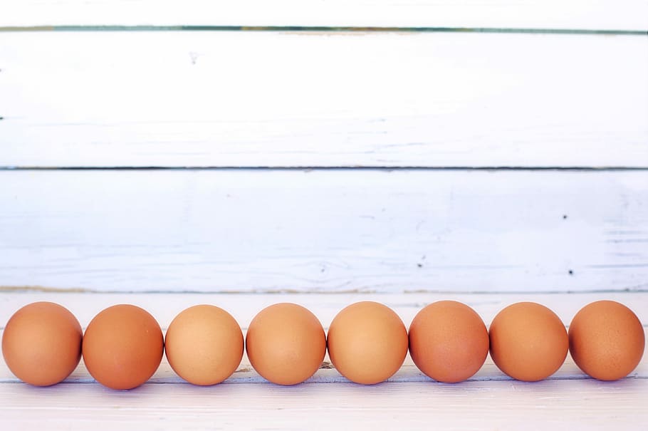brown eggs forming line, white space, border, frame, background