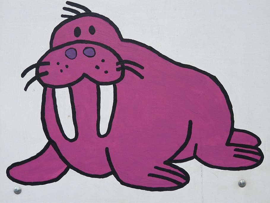 sealion illustration, walrus, sea lion, comic, figure, image
