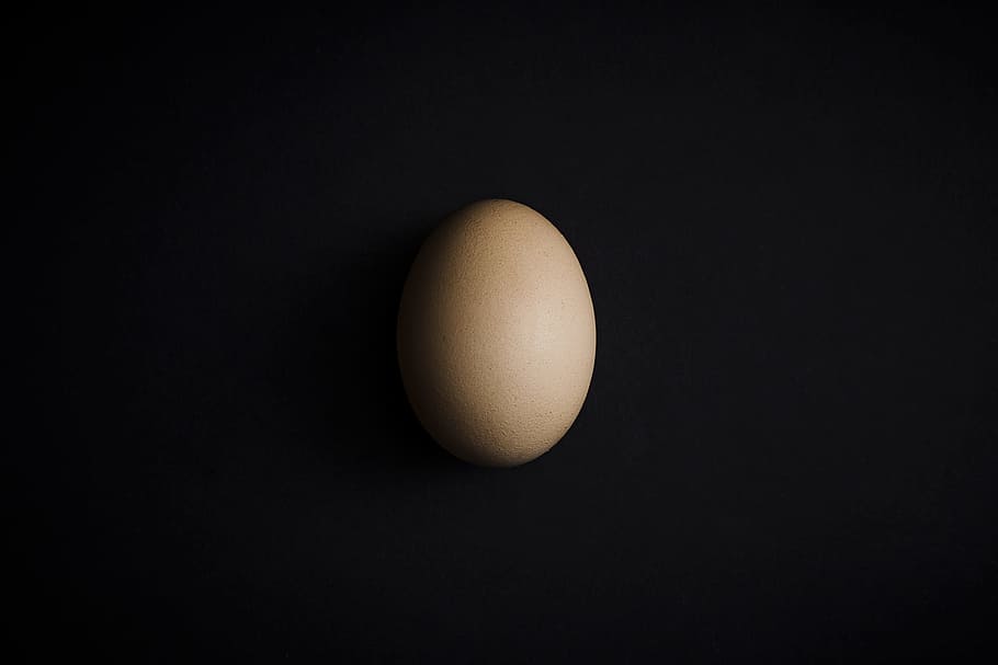 An egg, egg on black surface, egg shell, easter, food, animal Egg HD wallpaper