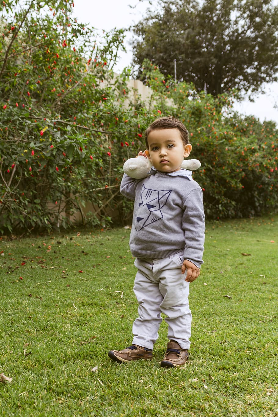 child, boy, children, beautiful, portrait, childhood, nature HD wallpaper