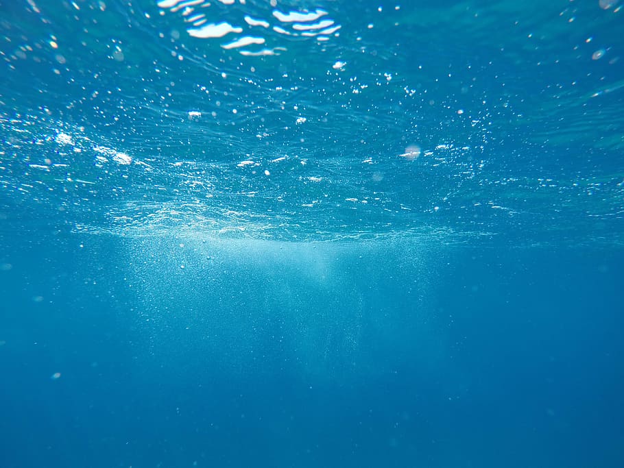 underwater photo, photo of deep water, bubble, sea, blue, ocean