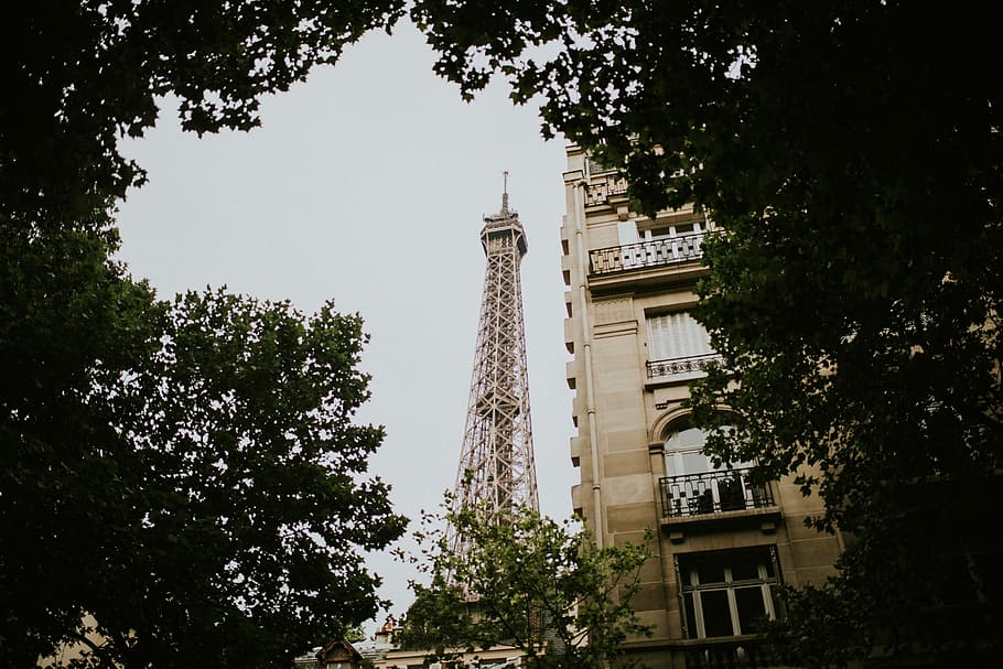 low angle photography of tower, building, architecture, eiffel tower HD wallpaper