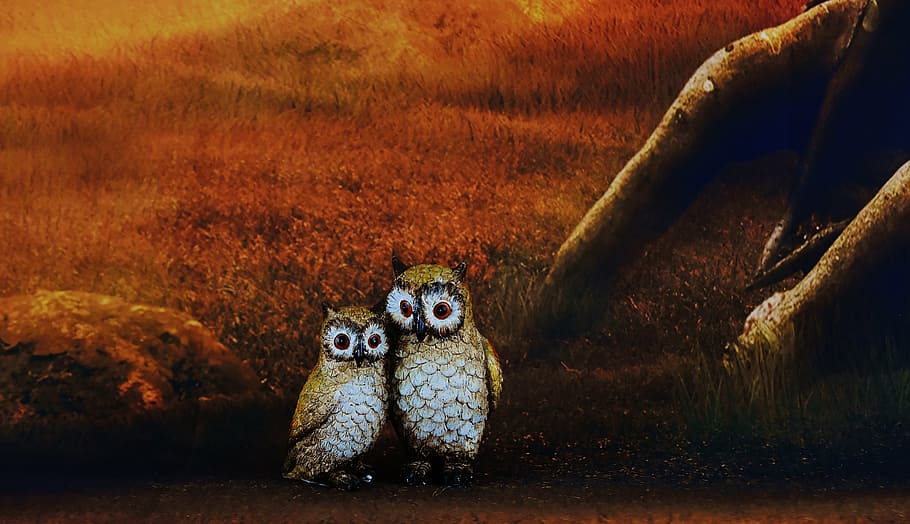 two owl painting, owls, pair, forest, cute, figures, nocturnal HD wallpaper