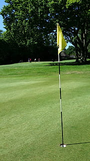 golf, golf course, green, grass, landscape, outdoor, summer HD wallpaper