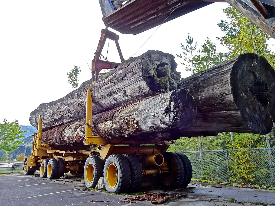 yellow heavy equipment with logs, Lumber, Timber Truck, Logging