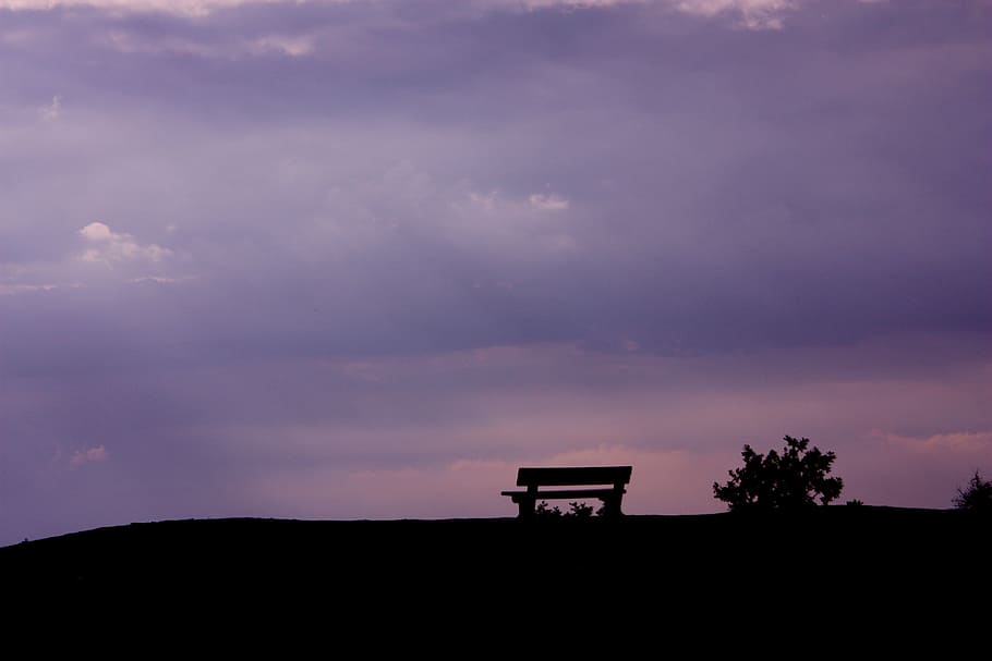 silhouette of trees under cloudy sky, bench, view, evening HD wallpaper