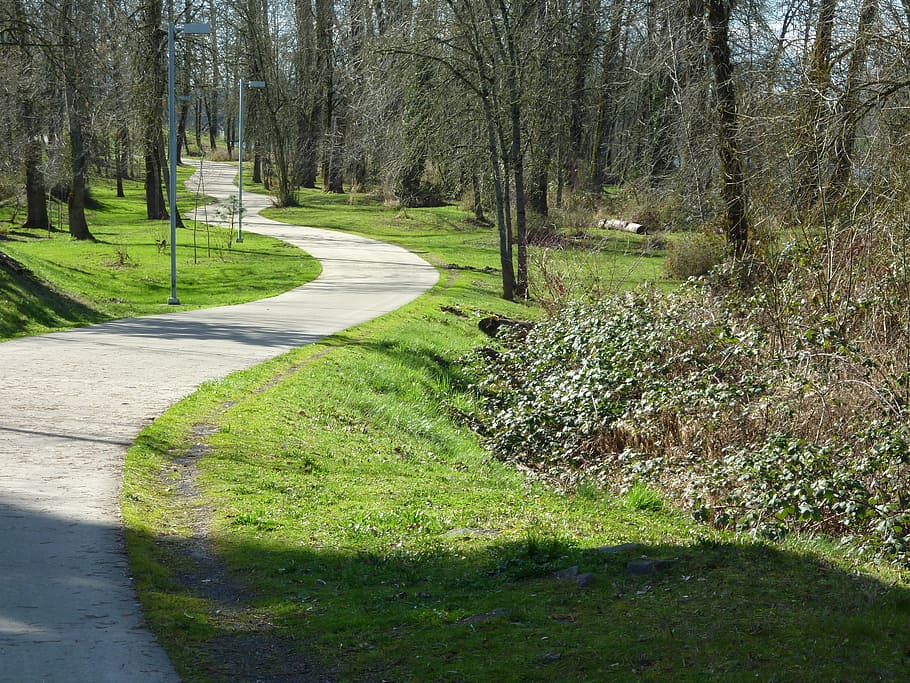 bike, path, route, bicycle, bicycle path, bikeway, walking path