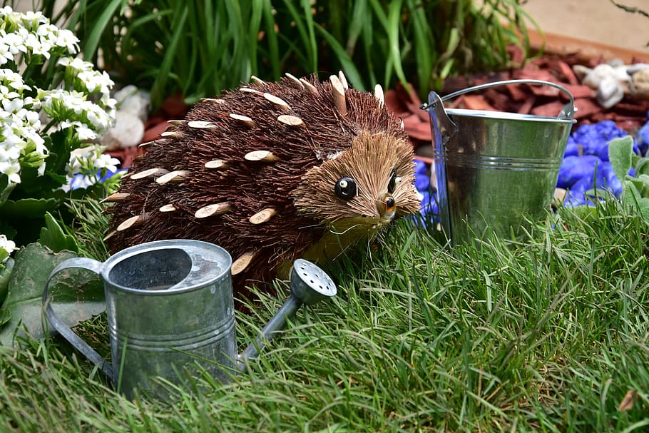 model, exhibition, backyard, animal themes, plant, mammal, container HD wallpaper