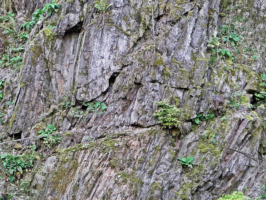 Stone Wall, Mountains, Limestone, green, forest, moss, nature HD wallpaper