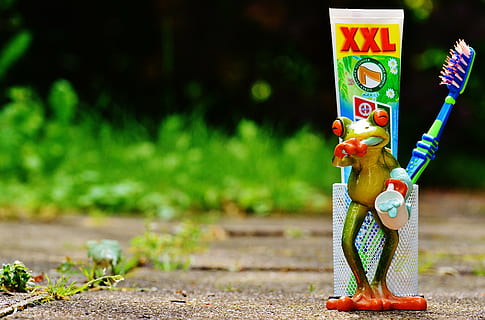 frog toothpaste holder during daytime, toothbrush, brushing teeth HD wallpaper