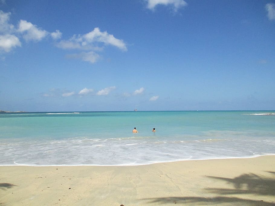 two person swimming on the beach during daytime, wave, turquoise HD wallpaper