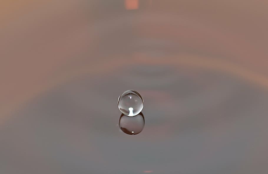 water drop, liquid, round, reflexion, reflection, nature, bubble HD wallpaper