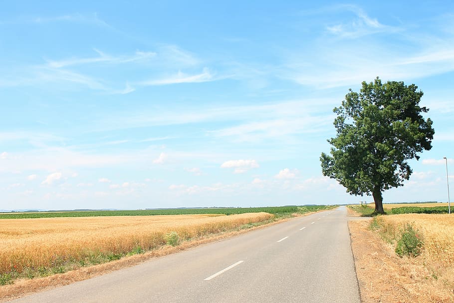 road, wood, nature, trees, summer, travel, sunlight, sky, rest HD wallpaper