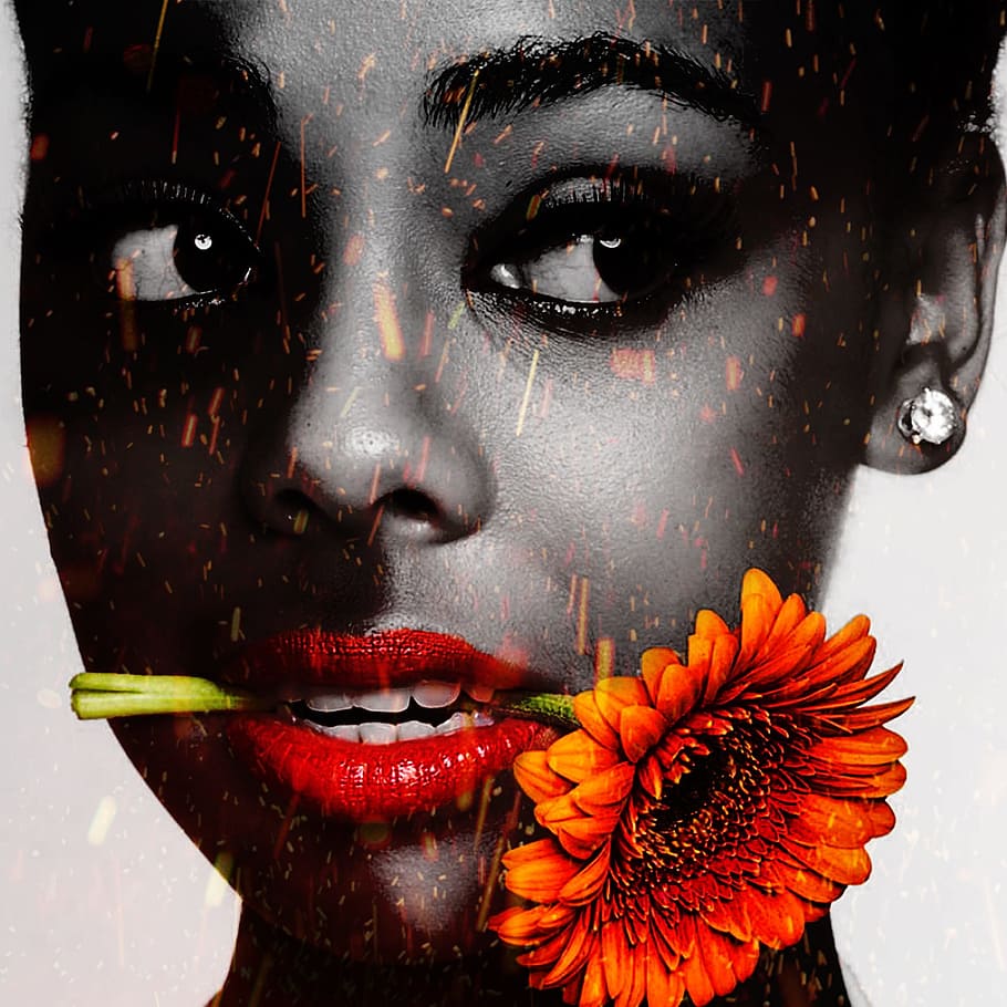nope, thank, you, portrait, close-up, make-up, headshot, flower HD wallpaper