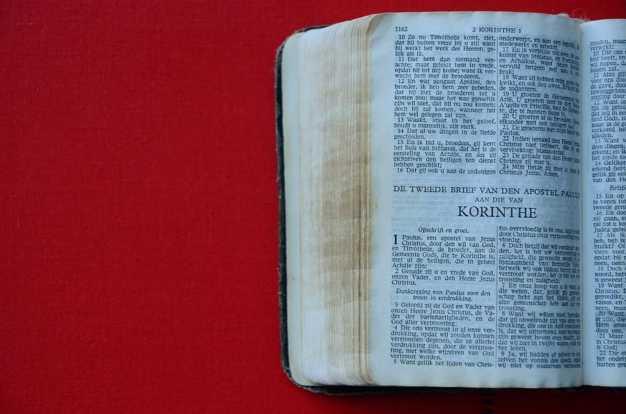 Jesus is ma Saviour :D, Holy Bible, book, page, red, no people HD wallpaper
