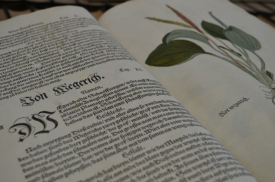 book, old, library, latin, publication, text, communication HD wallpaper