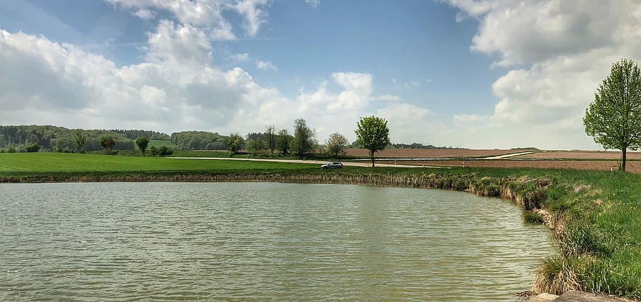 waters, nature, panorama, river, tree, sky, summer, lake, grass HD wallpaper
