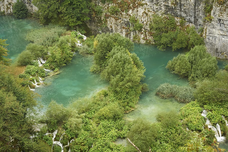 aerial photography of body of water and green trees, green leafed trees HD wallpaper
