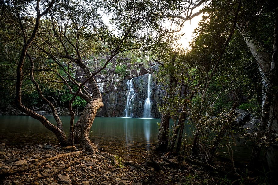 Water, Waterfall, Tree, Nature, landscape, forest, river, scenics HD wallpaper