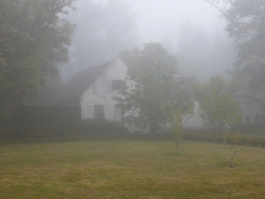 fog, mood, home, leave, mystical, gespentisch, lonely, rain HD wallpaper