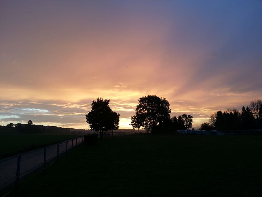 morgenstimmung, trees, clouds, sunset, sky, plant, tranquility HD wallpaper