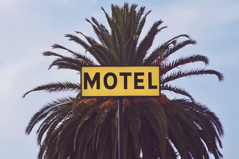 motel, trees, building, establishment, rooms, palm tree, tropical climate HD wallpaper
