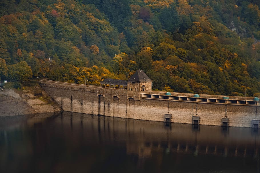 brown dam, gray concrete bridge near trees during daytime, lake HD wallpaper