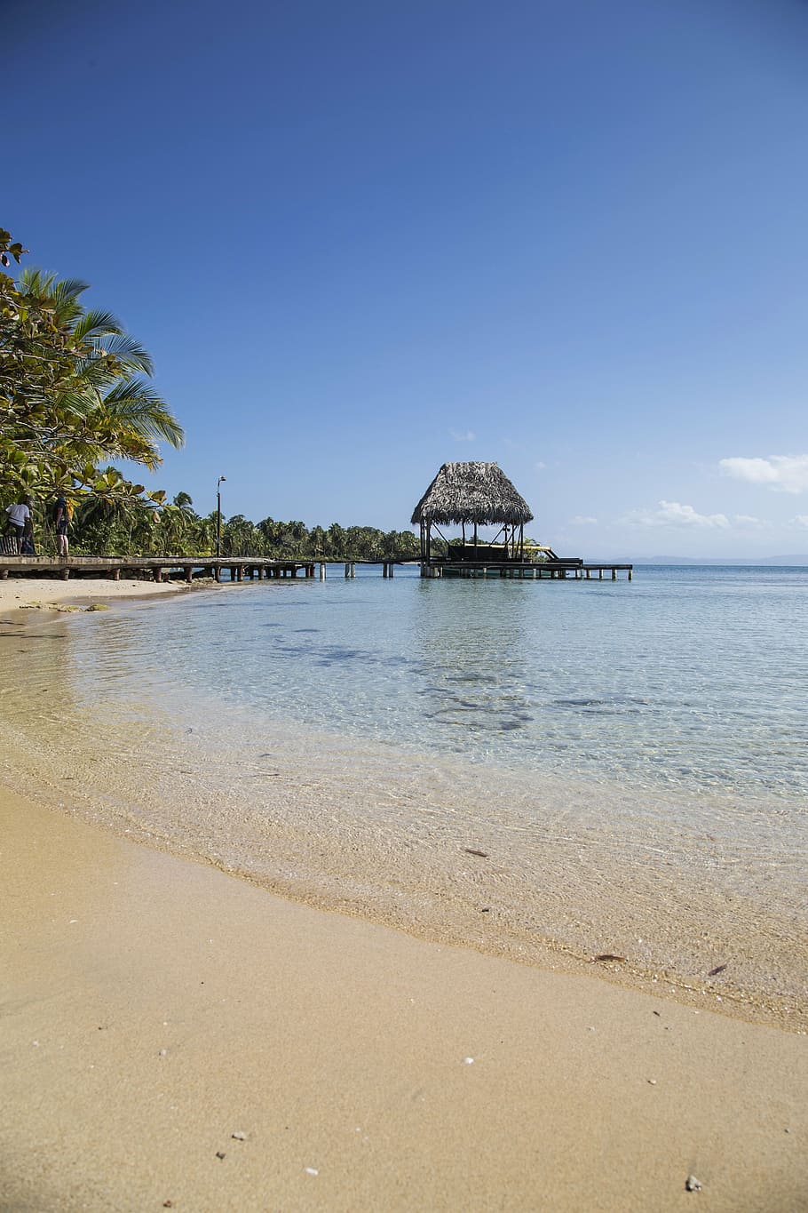 beach, hut, palm, palmtree, coast, shore, blue, summer, sand HD wallpaper