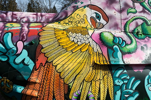 parrot illustration, graffiti, helicopter, object, grunge, sheet HD wallpaper
