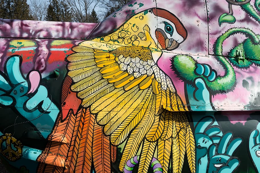 parrot illustration, graffiti, helicopter, object, grunge, sheet HD wallpaper