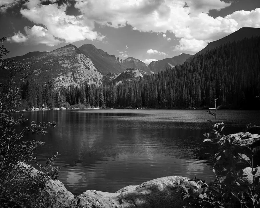 black-and-white, clouds, forest, lake, landscape, mountain HD wallpaper