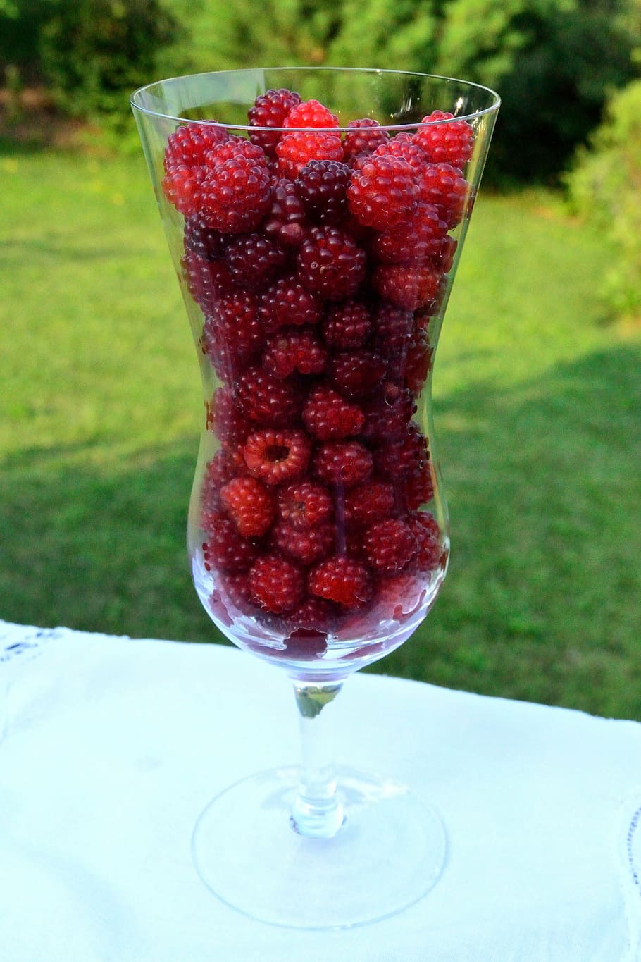 raspberry, dessert, fruit, red, fresh, delicious, summer, tasty HD wallpaper
