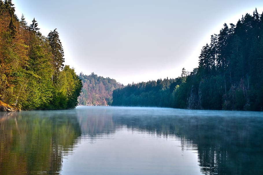 Contrast, River, Landscape, Summer, forest, nature, landscape water HD wallpaper