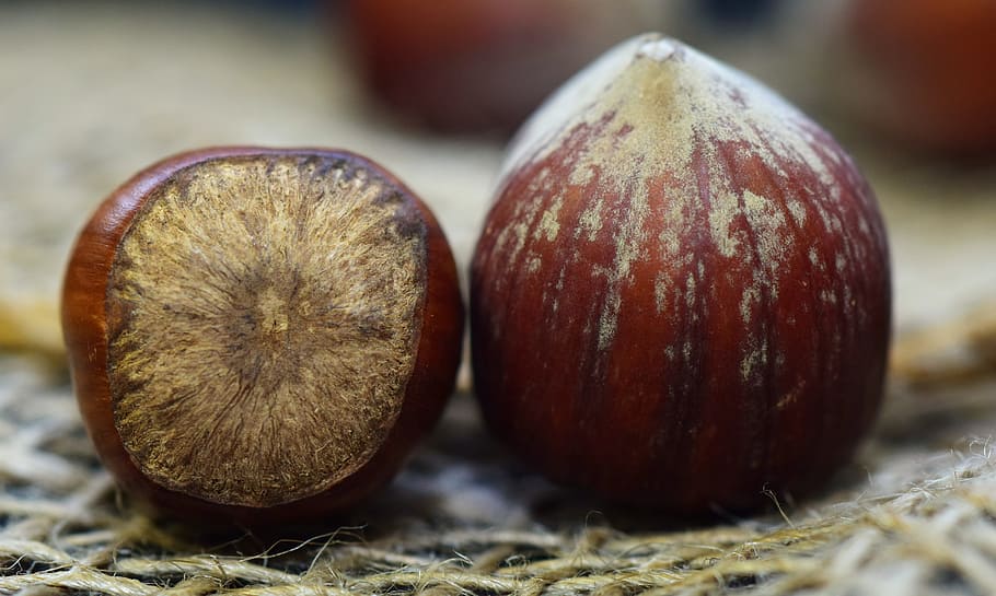 shells, nutshells, brown, healthy, about, close, hazelnuts HD wallpaper