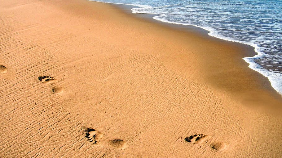 footstep on seashore, beach, sand, ocean, footprints, person HD wallpaper