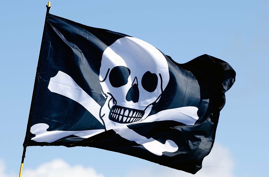 close-up photo of pirate flag, pole, isolated, human bone, territorial HD wallpaper