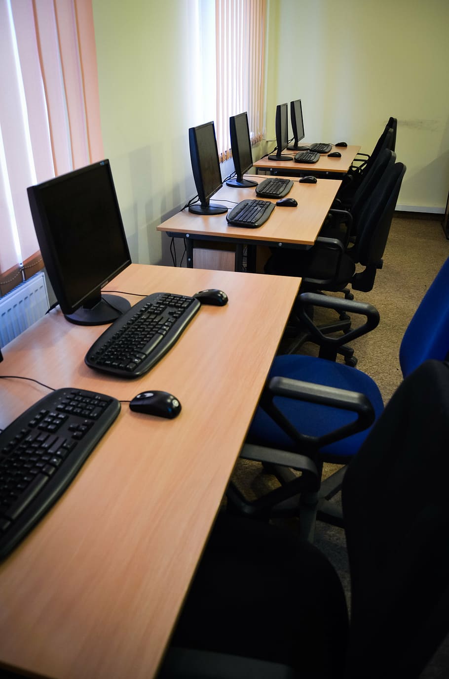 five black flat screen computer monitors on brown wooden desks HD wallpaper