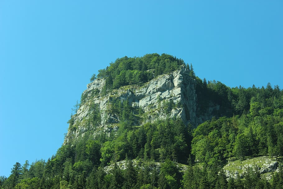 rock, forest, mountain, stones, nature, trees, mountains, landscape HD wallpaper