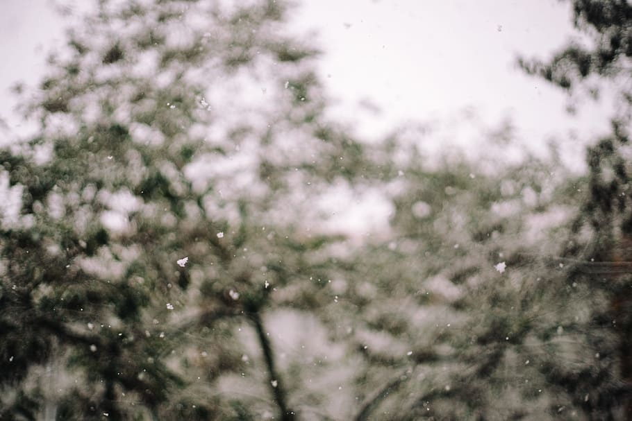 Falling snow, abstract, nature, winter, season, cold - Temperature HD wallpaper