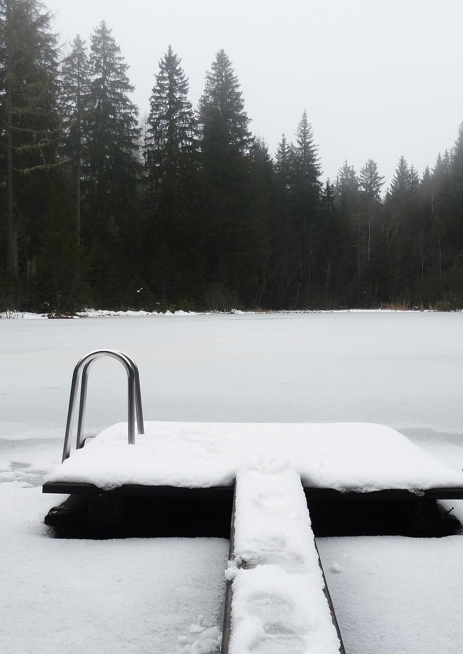Winter, Landscape, Web, Water, Ice, frozen lake, wintry, cold HD wallpaper