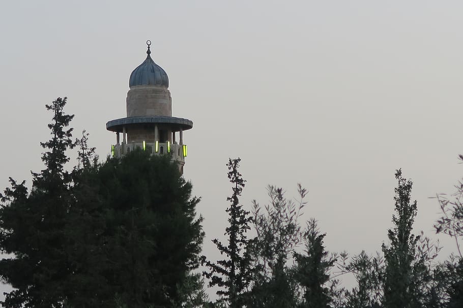 minaret, cami, masjid, tree, plant, sky, architecture, built structure HD wallpaper