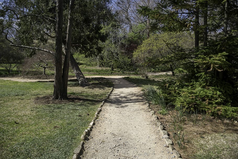 Walkway in the Gardens of UNC Chapel Hill, North Carolina, photos, HD wallpaper