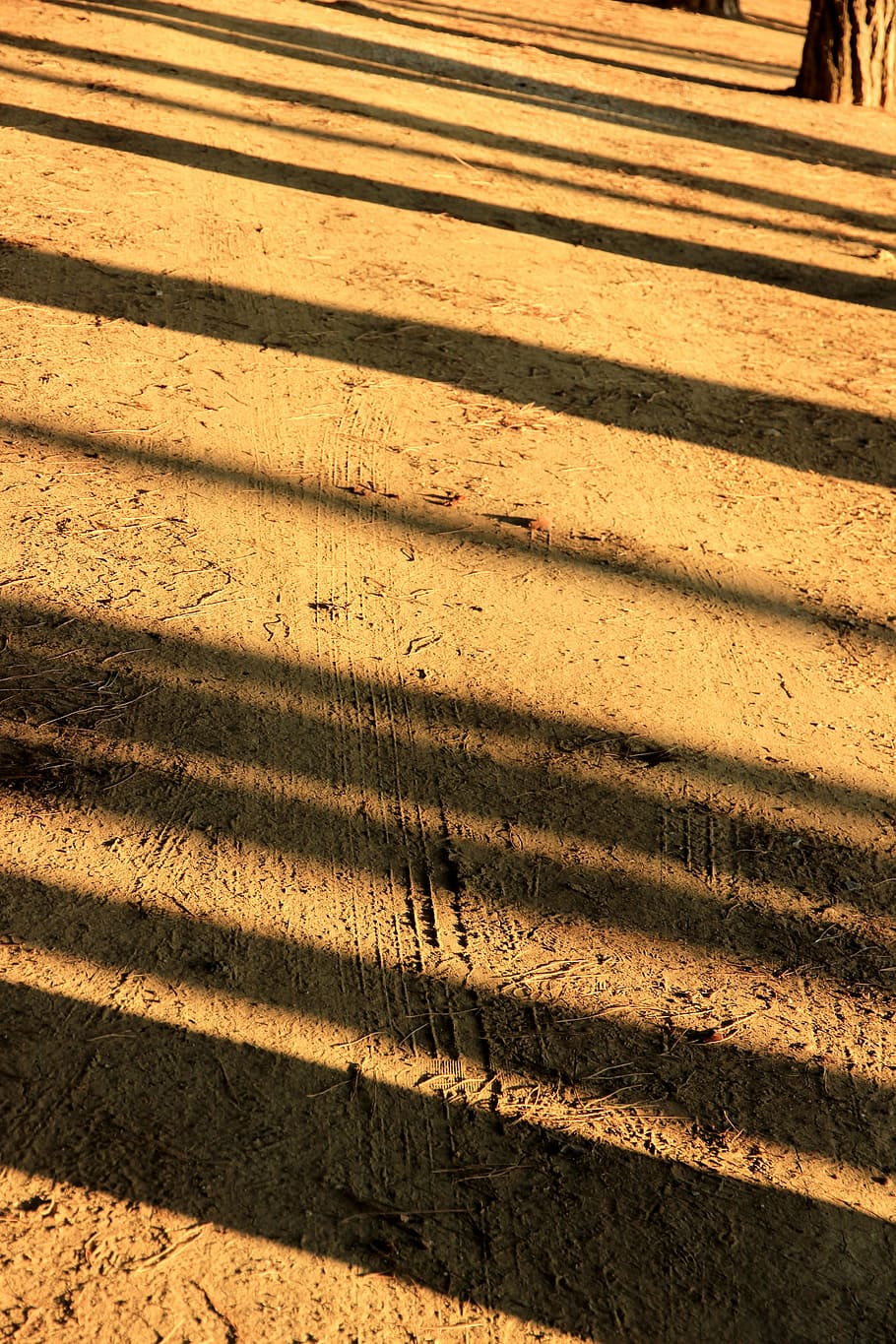 shadow, light, lichtspiel, golden light, silhouette, atmospheric HD wallpaper