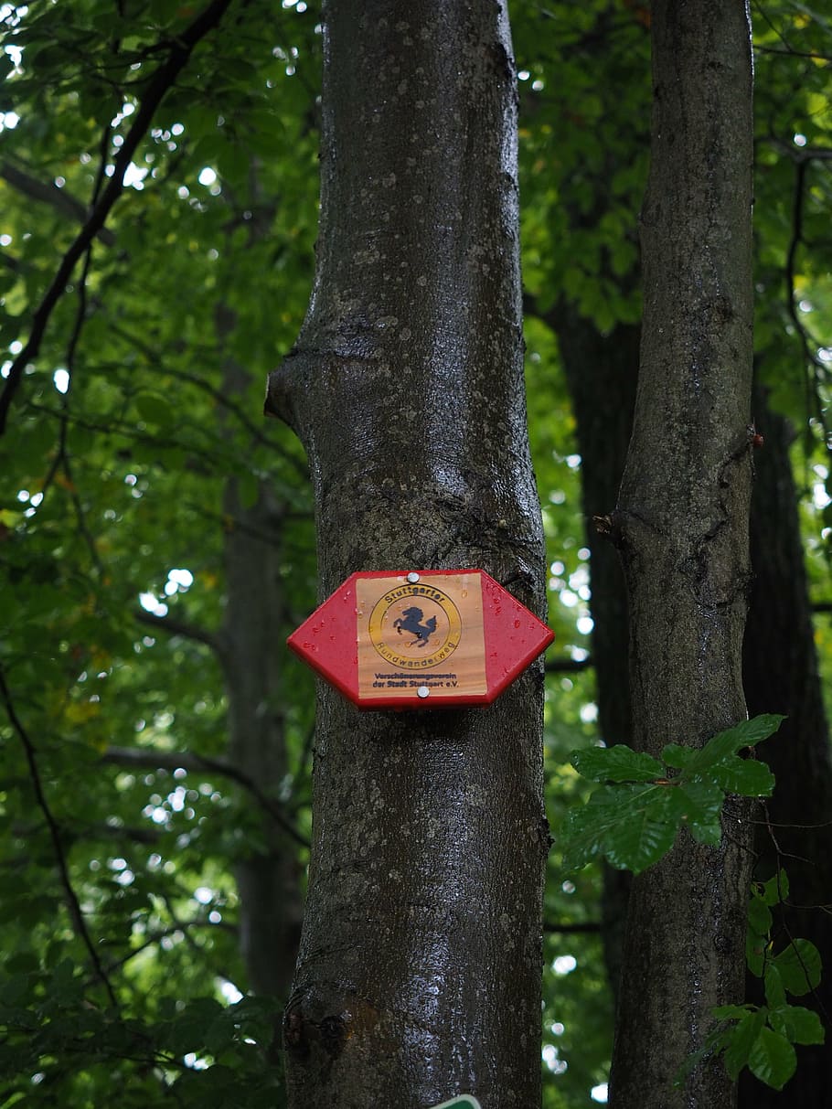 shield, trail, signs, signpost, migratory character, rössleweg HD wallpaper