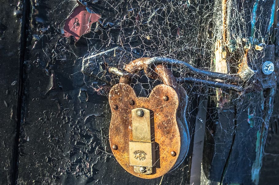padlock, gate, locked, private, close-up, rusty, cobweb, iron HD wallpaper