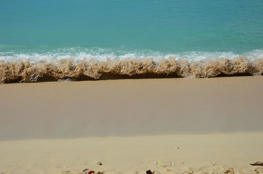photograph of beach, caribbean, sandy beach, guadeloupe, sea, HD wallpaper