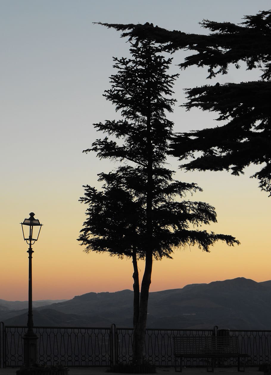 tree, light, sunset, mountains, clear, sky, street light, plant HD wallpaper