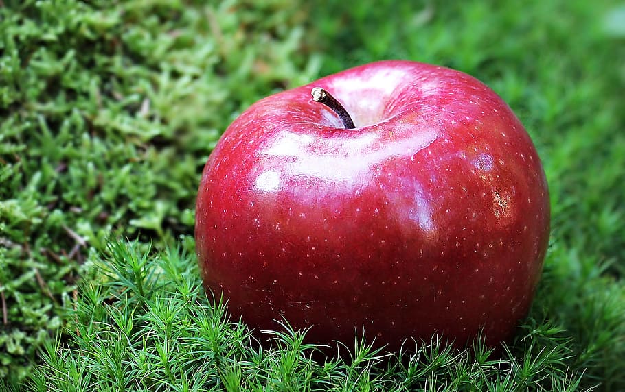 Shallow Focus Photography of Red Apple in Green Grass, blur, close-up HD wallpaper